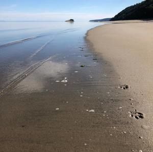 Meet your Posher, Nadia